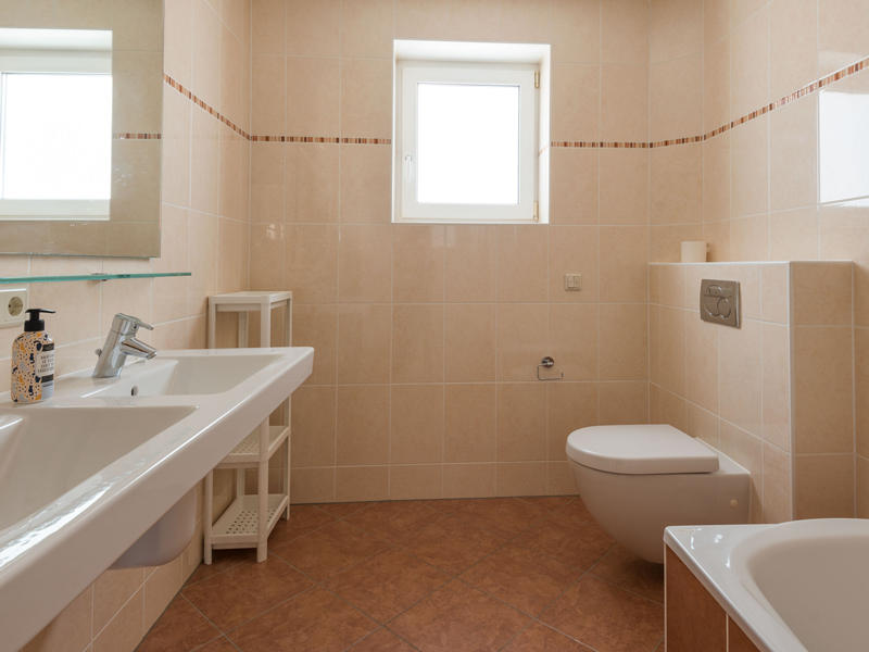 shared bathroom with a toilet in a roommate house, Luxembourg city